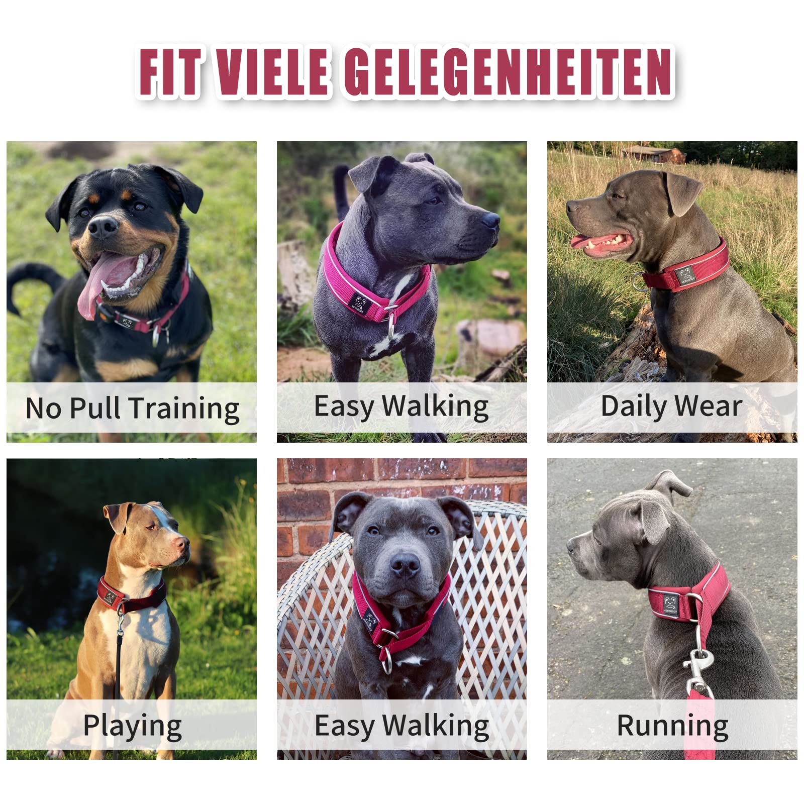 Weich Neopren Gepolstert Hundehalsband (4cm Breite) Reflektierend Hund Halsband mit Robust Nylon & Zugstopp, Bequem Zughalsband Dressurhalsband Kleine Mittlere Große Hunde Anti-Zug Walken M Wein