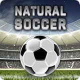 4 verschiedene Spielfelder mit individueller Charakteristik