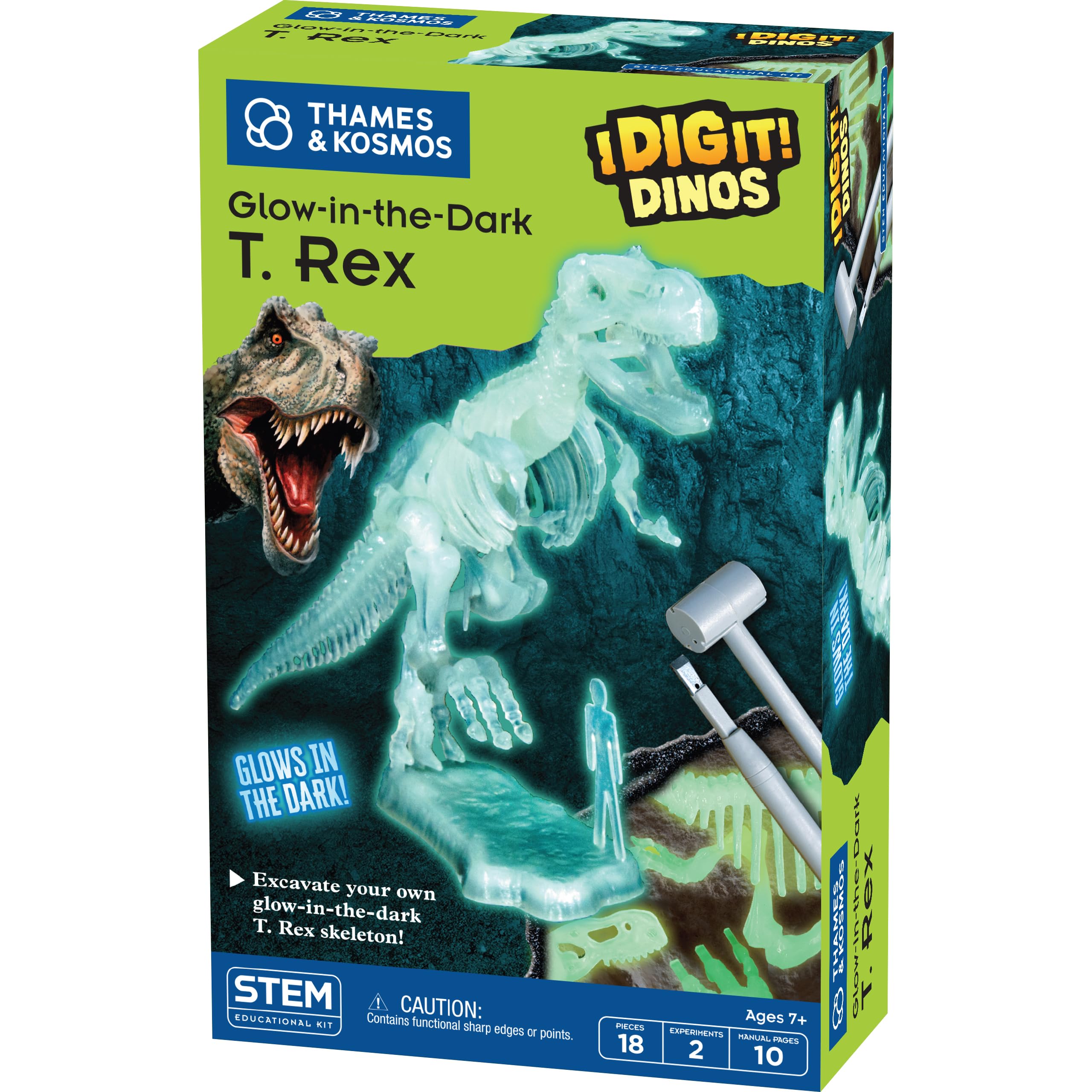Amazon.com: I Dig It! Dinos - Glow-in-the-Dark T. Rex Model