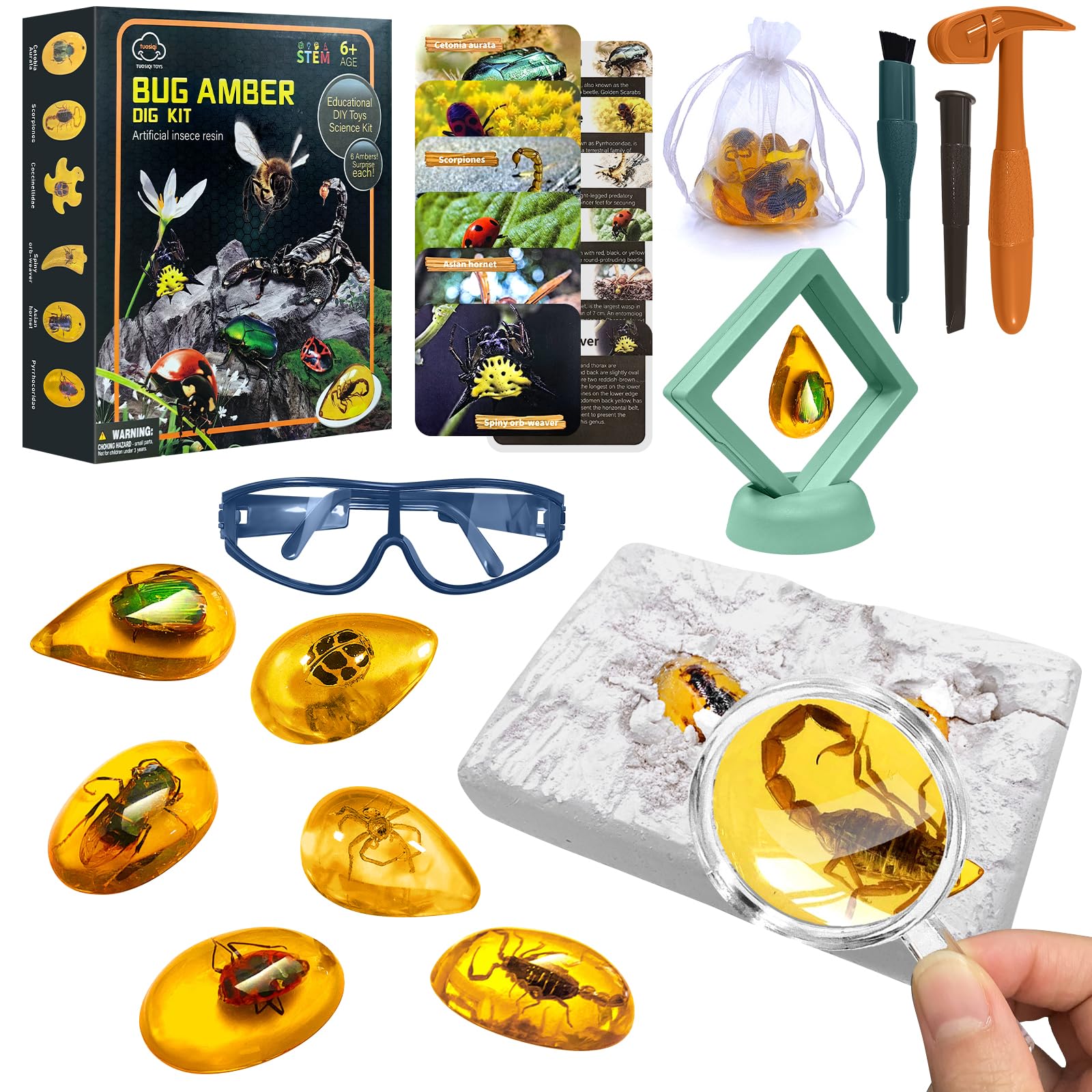 ALEENFOON Amber Fossil Dig Kit, Kids Insects Specimens Excavation Kit with Digging Tools & Booklet Record Pages