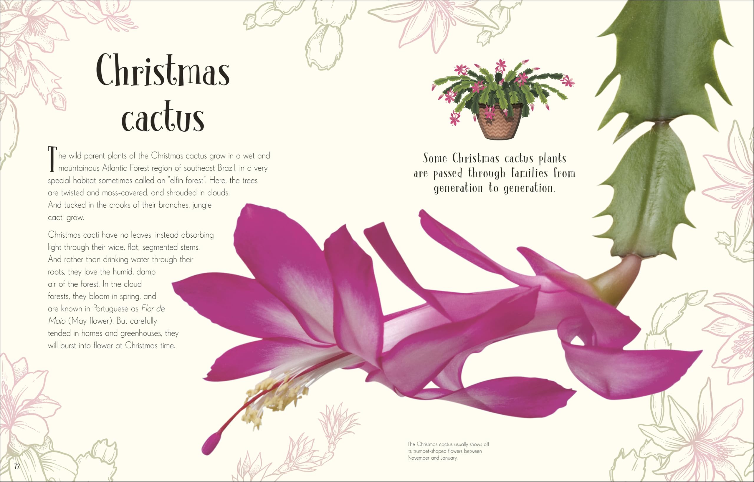 An Anthology of Christmas: Discover the Magical Stories of the Festive Season (DK Children's Anthologies)