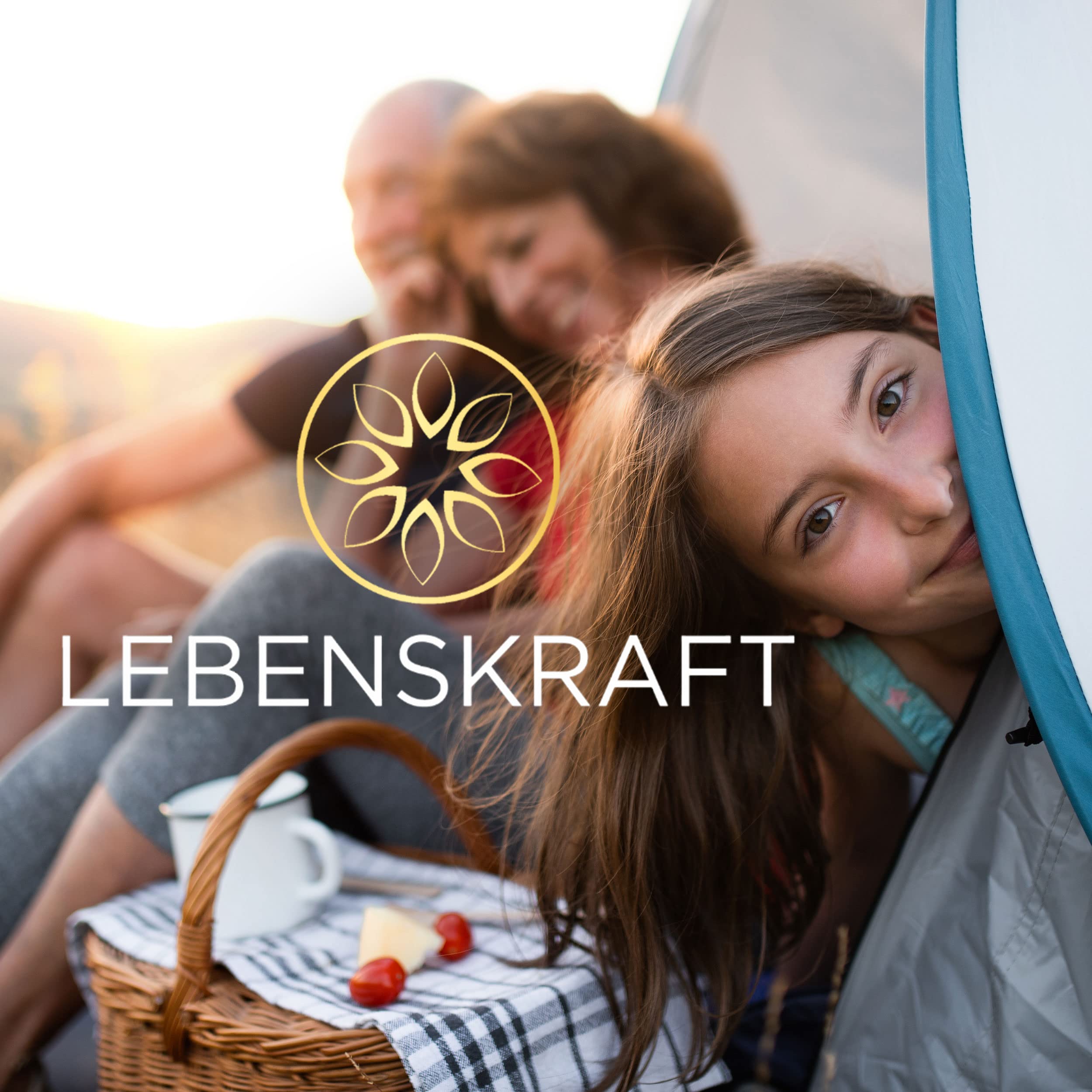Lebenskraft Dosenbrot, Roggenvollkornbrot, 12x 350g Dose, lang haltbar, ohne Weizenmehl, vegan, laktosefrei
