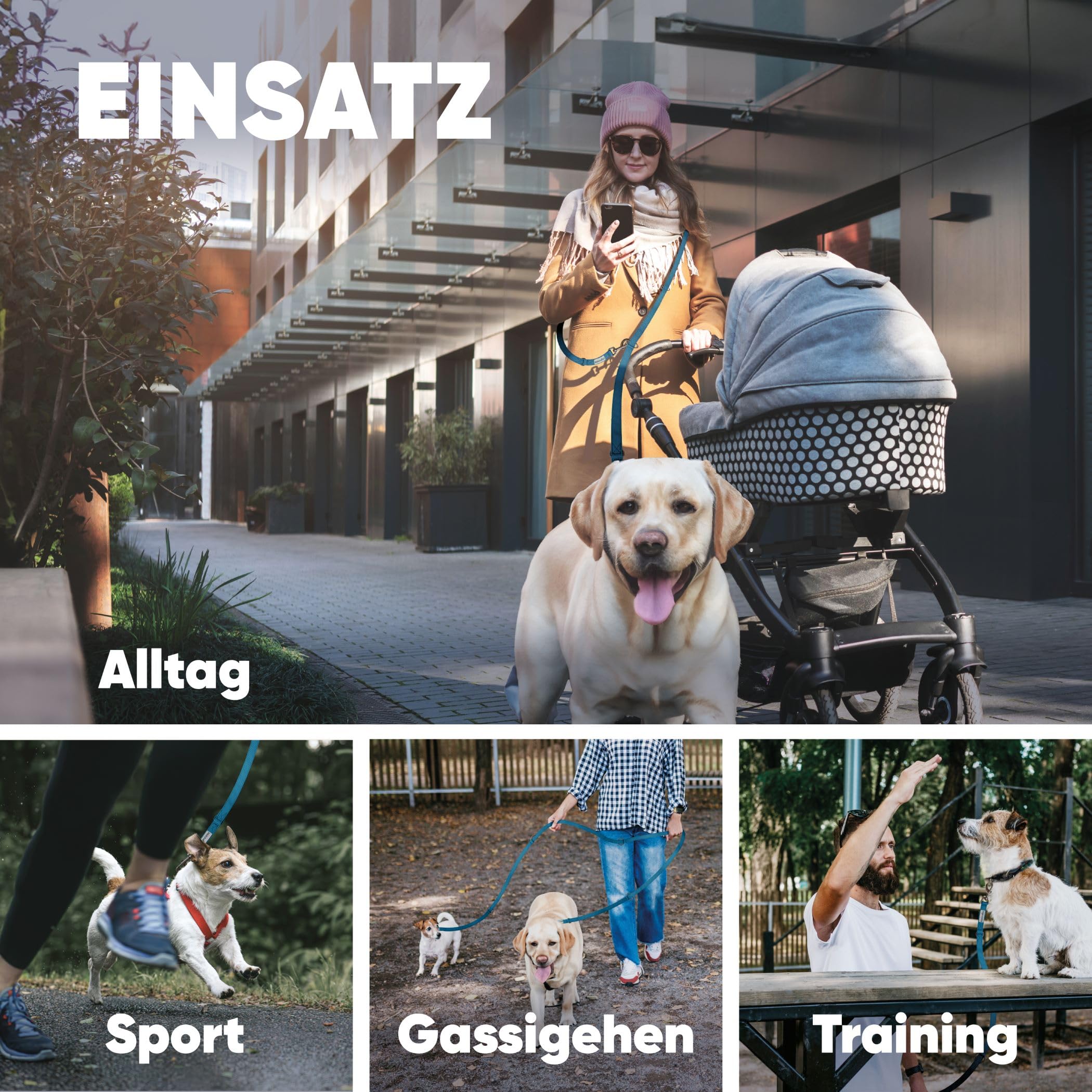 Hundeleine 3m [4-Fach verstellbar] + Hundespielzeug Ball [Zahnpflege Hund] Leine Hund Hundezubehör Hundeleine für große Hunde Hundespielzeug Intelligenz Hundespielzeug unzerstörbar (blau)