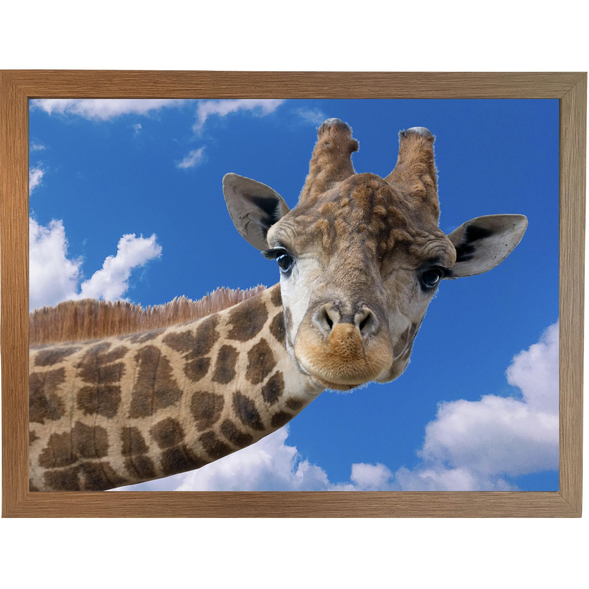 Trove Homewares Funny Giraffe Lap Tray With Bean Bag Cushion: Cute Cushioned Laptop Lap Desk Tray, Padded Food Serving Dinner Tray For Eating, Plain Or Personalised (Frame Choices X 4)