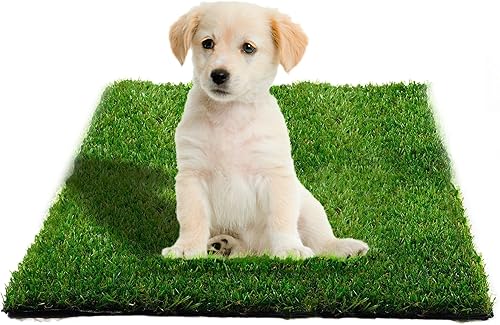 Alfombra de césped artificial precortada de 6 x 8 pies  Césped artificial verde para perros, deportes y juegos  Almohadilla de césped precortada