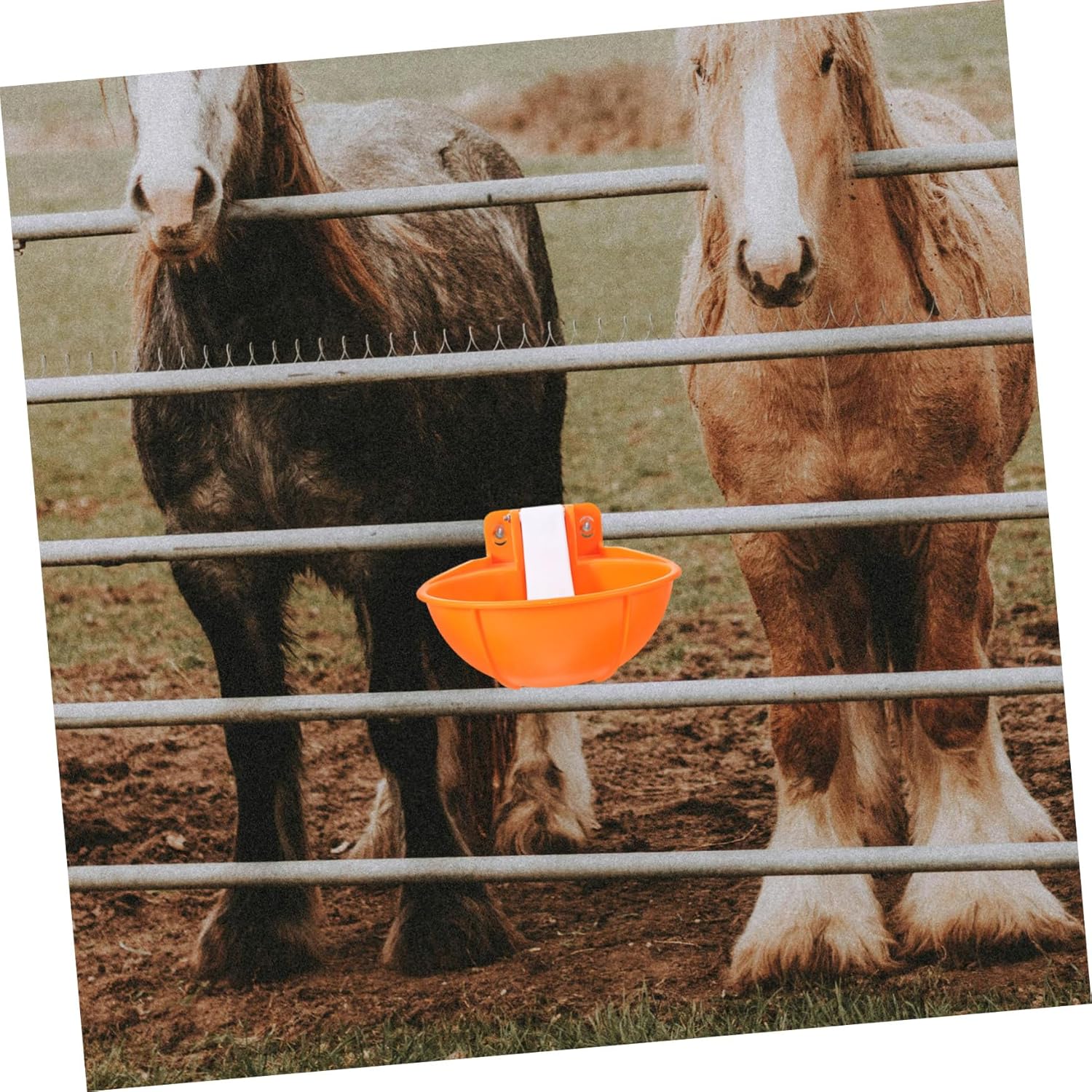 Happyyami 1 Set Automatic Cow Waterer Bowl Durable Livestock Water Feeder with Leak Design for Cattle Horses and Goats Convenient Automatic Drinking for Farms