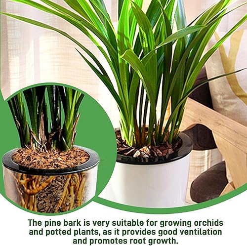 Miniatura 30 de Corteza orgánica para macetas de orquídeas de 3 cuartos de galón: mantillo natural para plantas en maceta, desarrollo de raíces de plantas de Pequeño
