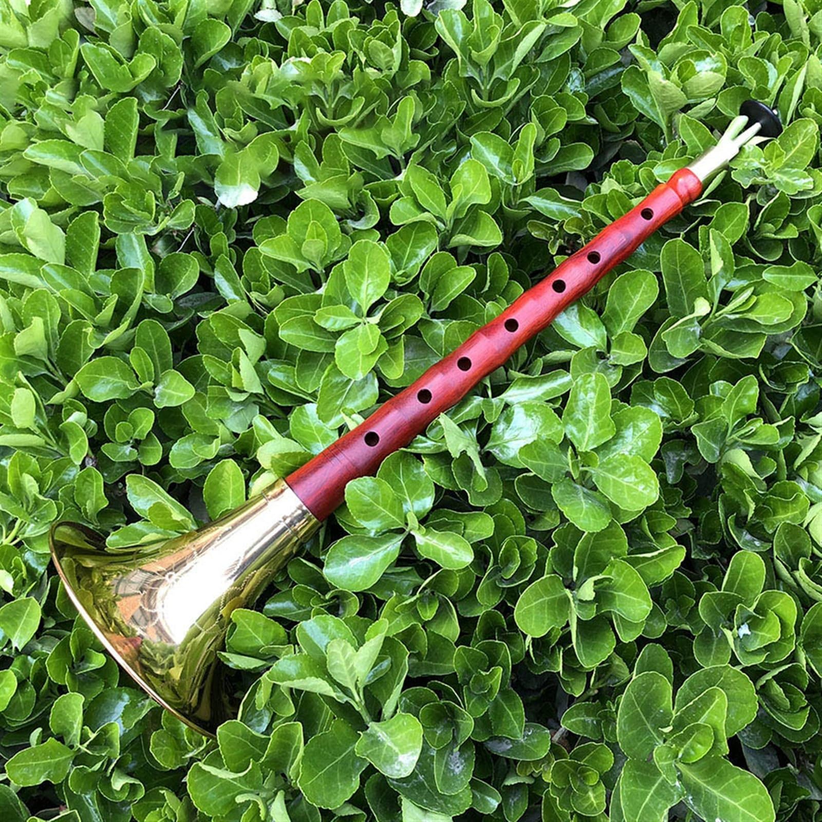 Palisanderstangen-Suona-Set Für Professionelles Holzblasinstrument, Suona-Horn Mit Zubehör Suona Anfänger (Color : G minor)
