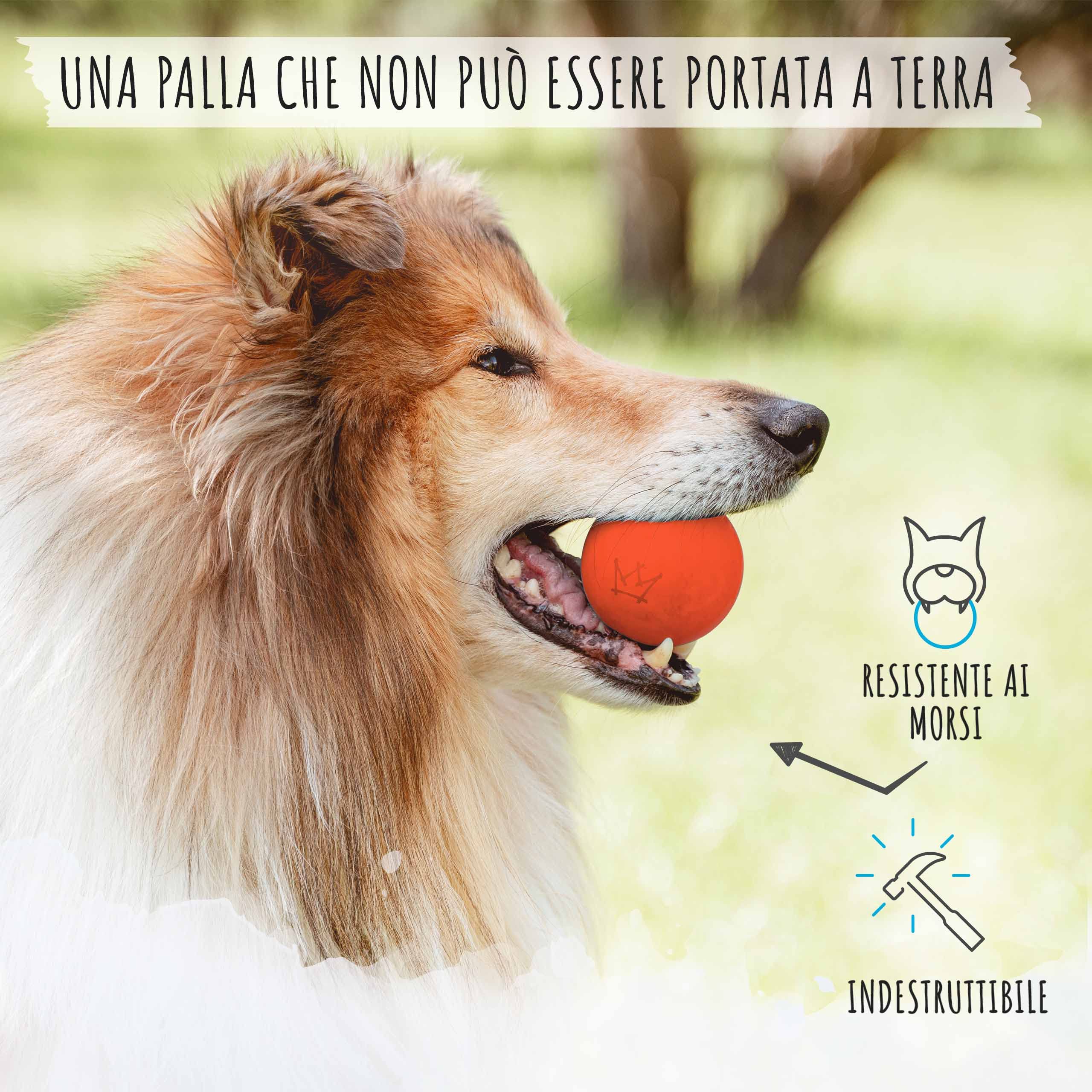 Pallina Per Cani In Caucciù Naturale Ø6,5cm - Quasi Indistruttibile, Per Giochi E Salute Dentale - Foto 3