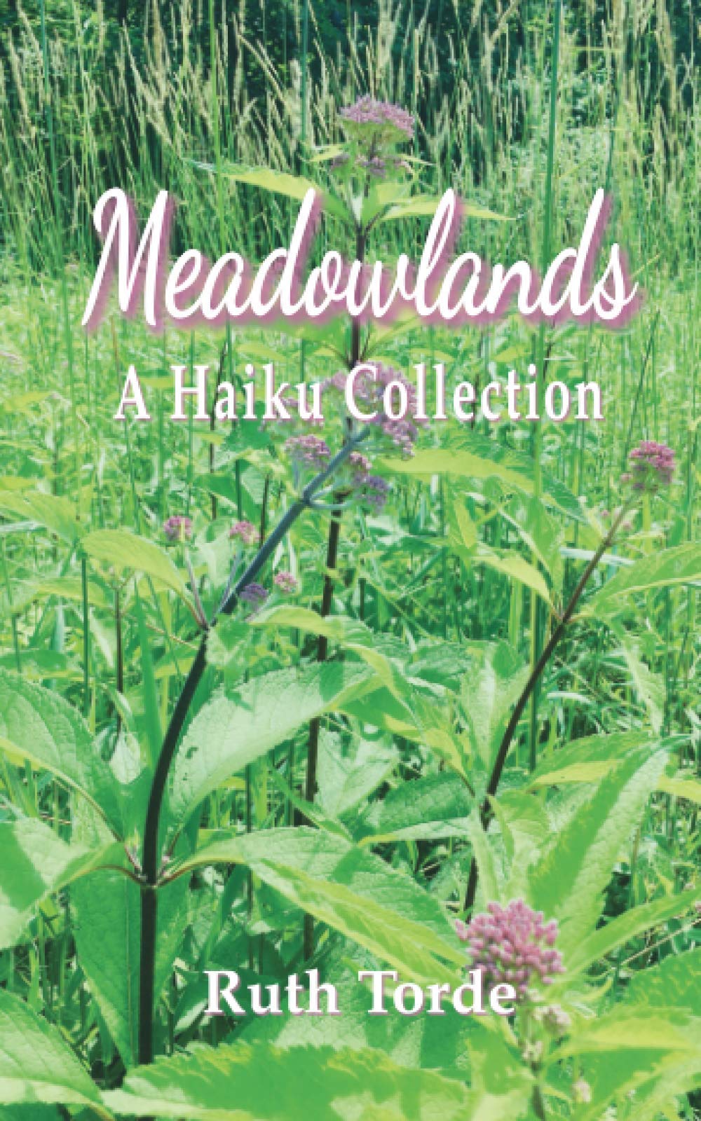Meadowlands: A Haiku Collection