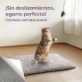 Ver la foto 6