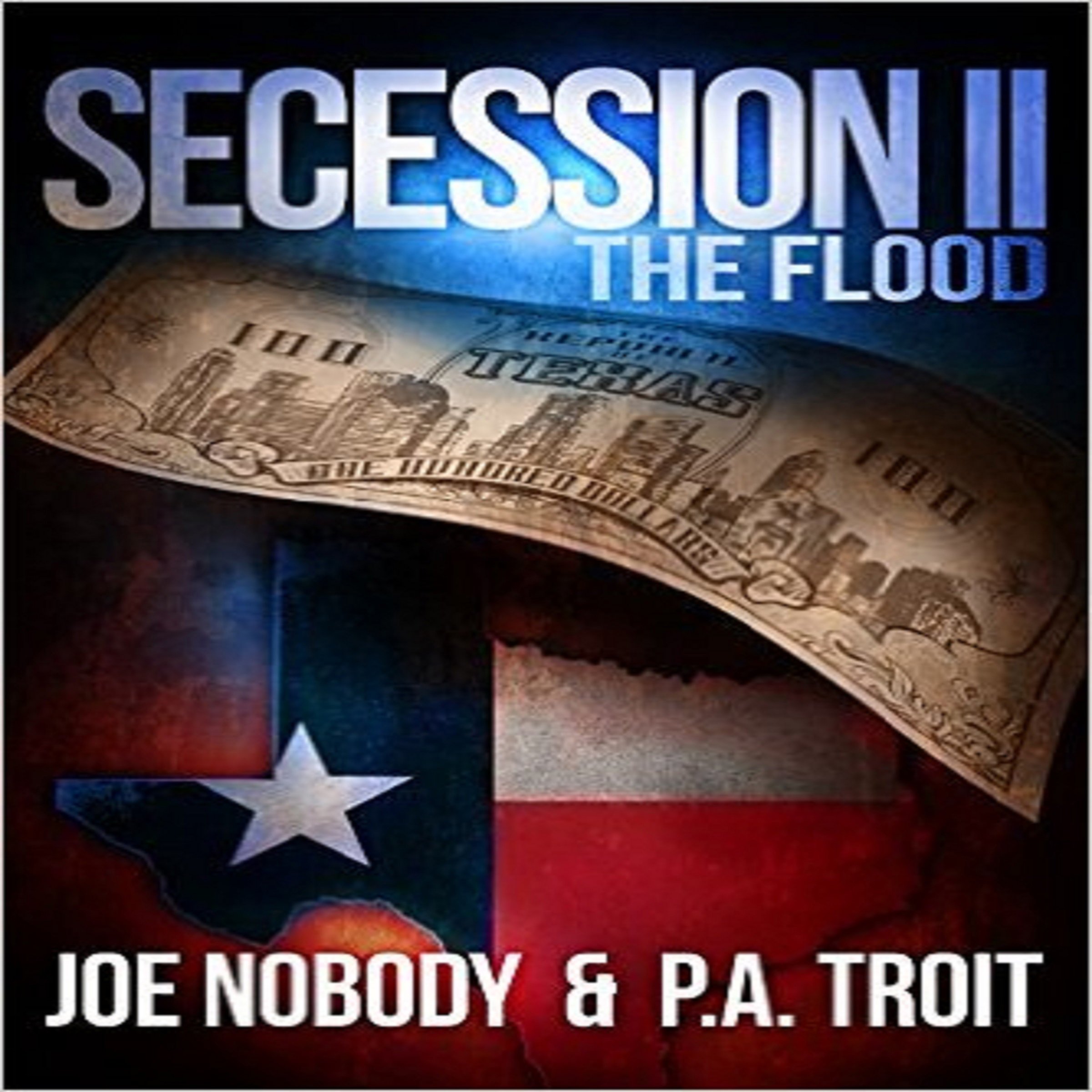 Cover art for Secession II: The Flood