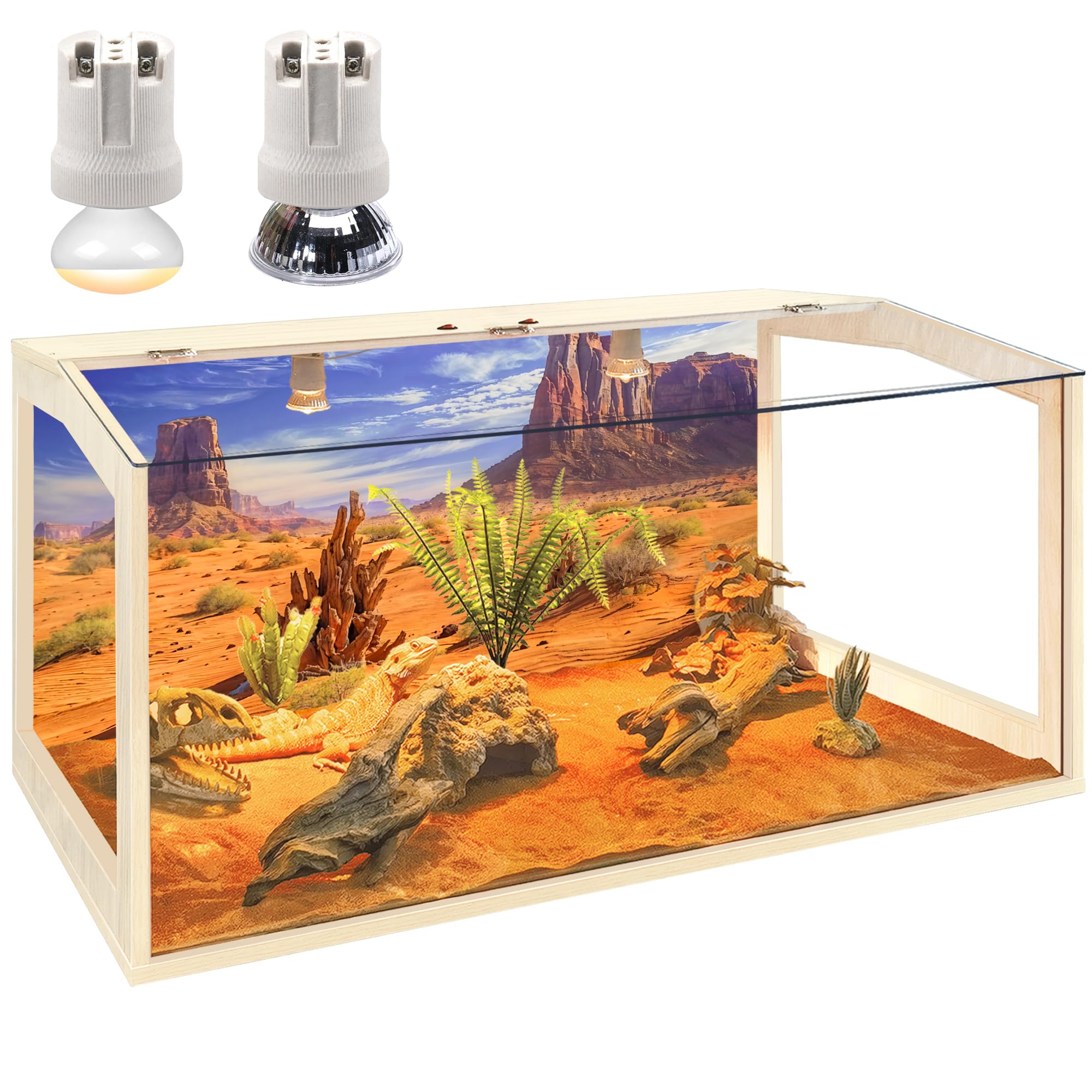 Bearded Dragon Terrarium 40 Gallon Bearded Dragon Tank 40 Gallon