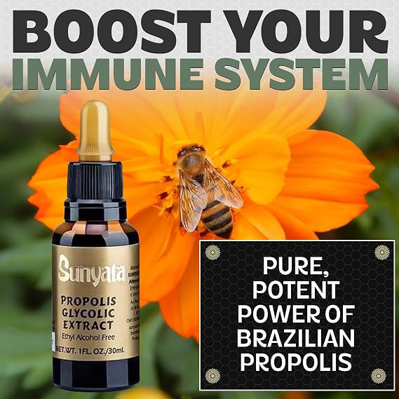 Sunyata Brazilian Green Bee Propolis Liquid Extract No Alcohol, Natural Immune Support & Antioxidant, Premium Concentrate, 30ML (1 Pack)