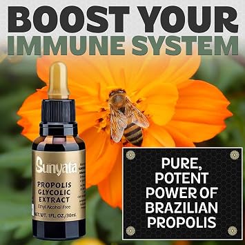 Sunyata Brazilian Green Bee Propolis Liquid Extract No Alcohol, Natural Immune Support & Antioxidant, Premium Concentrate, 30ML (1 Pack)