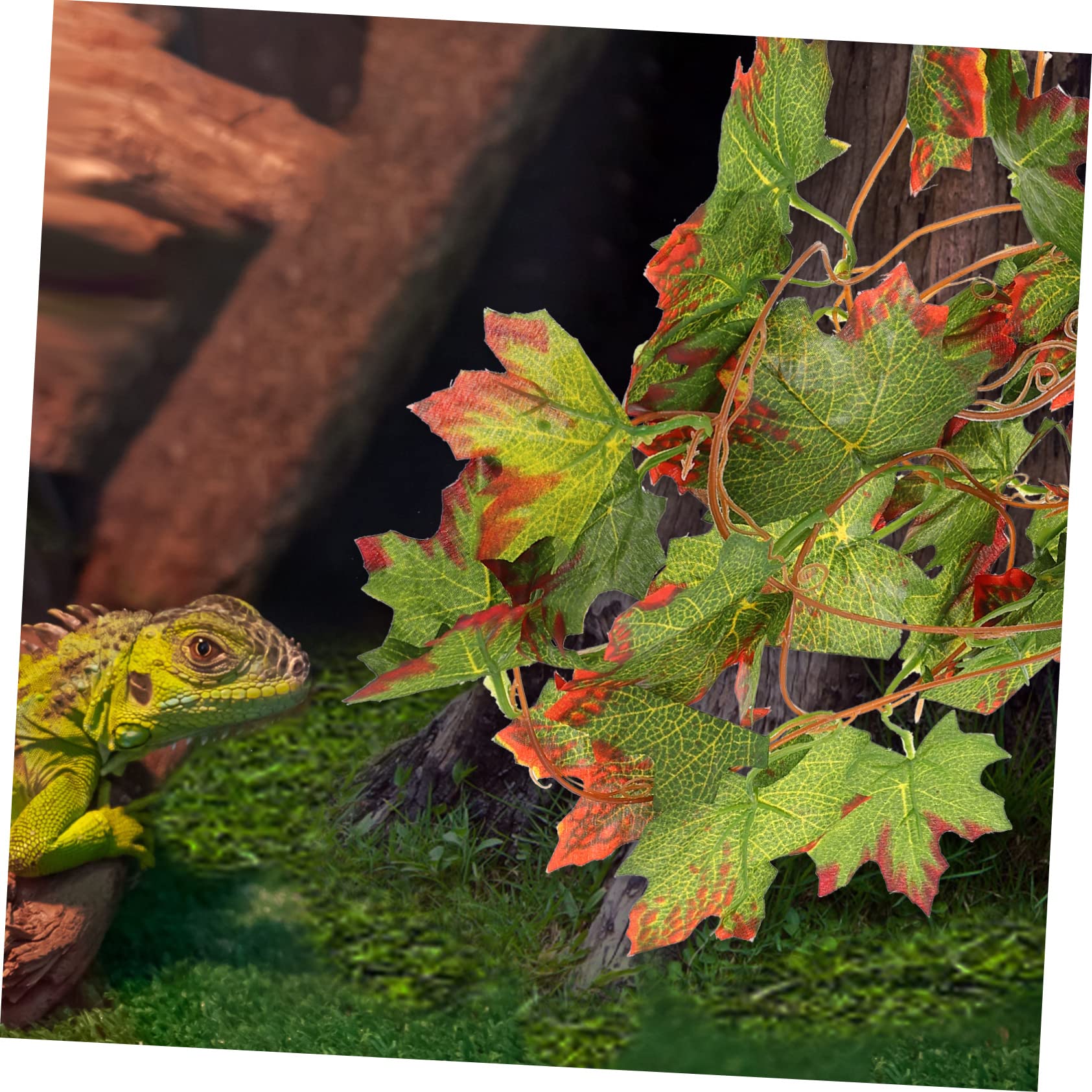 Angoily 5piezas Decoración De Terrario Plantas Imitadas para Reptiles De Simulación Natural Fácil Instalación Ventosa Decoración para Acuarios y Terrarios