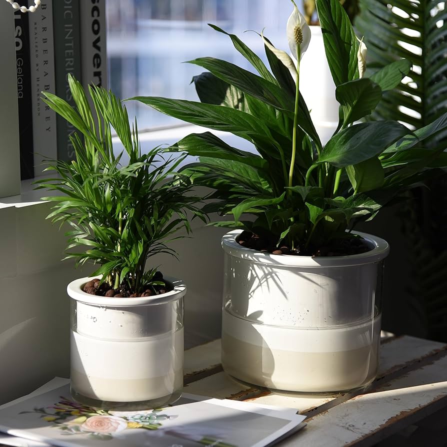 Phoenix Vine 6 Inch Self Watering Planter Pot, Design