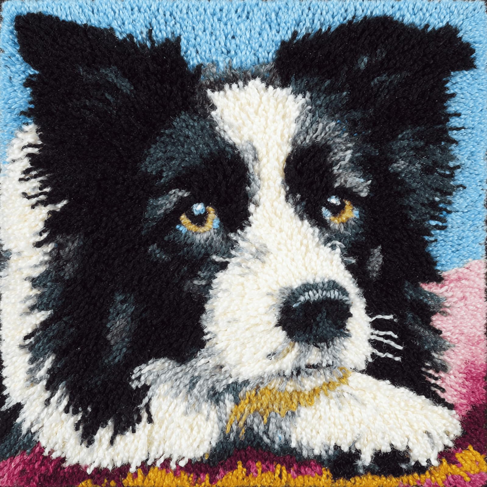 Taxpy 17x17 Inch Latch Hook Cushion Kit,Border Collie,Pre-Printed DIY Latch Hook Rug Making Kit for Beginners & Adults,Complete Pillow Cover Craft Set with Yarn,Tool & Instructions
