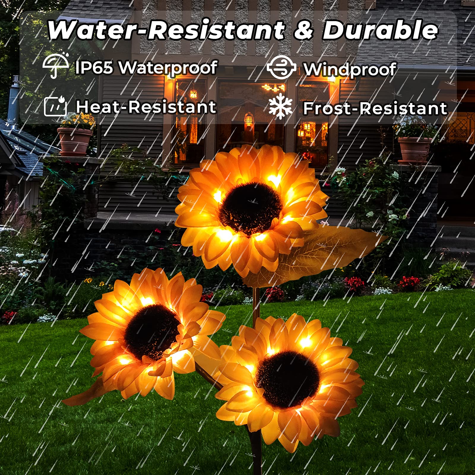 ひまわり2/2 Amazon.co.jp: ZXHYWYM ひまわり キャンバス ウォールアート