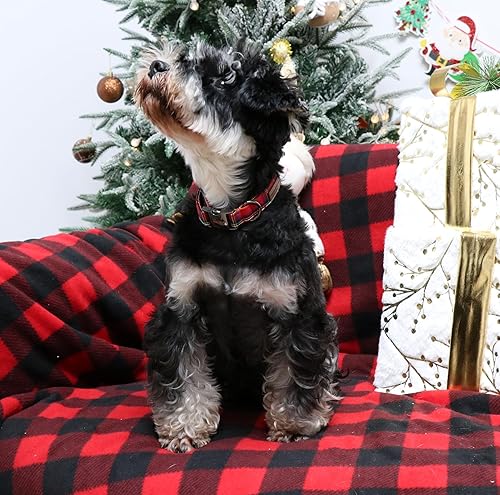 Miniatura 3 de Unique style paws Collar de perro con hebilla de metal, regalo para niños pequeños, medianos y grandes