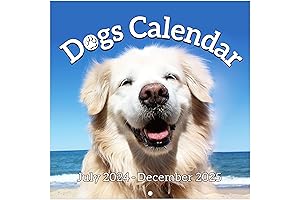 Funny 2023-2024 Wall Calendar: Laughter Every Day