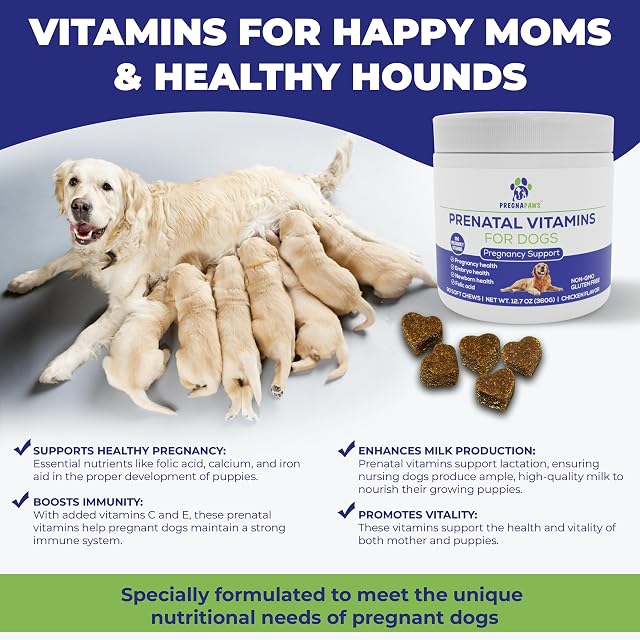 Foto 2 de 6 de Vitaminas Prenatales para Perros
