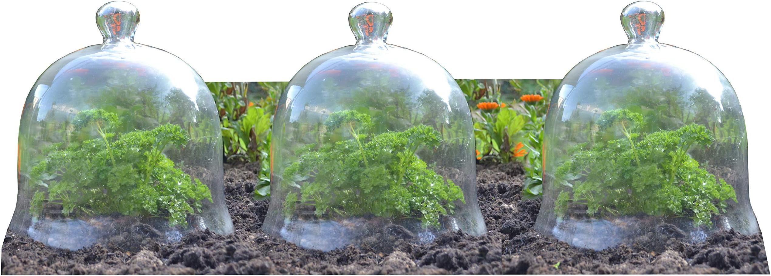 Access Garden Products Set of 3 Large Glass Bell Cloche