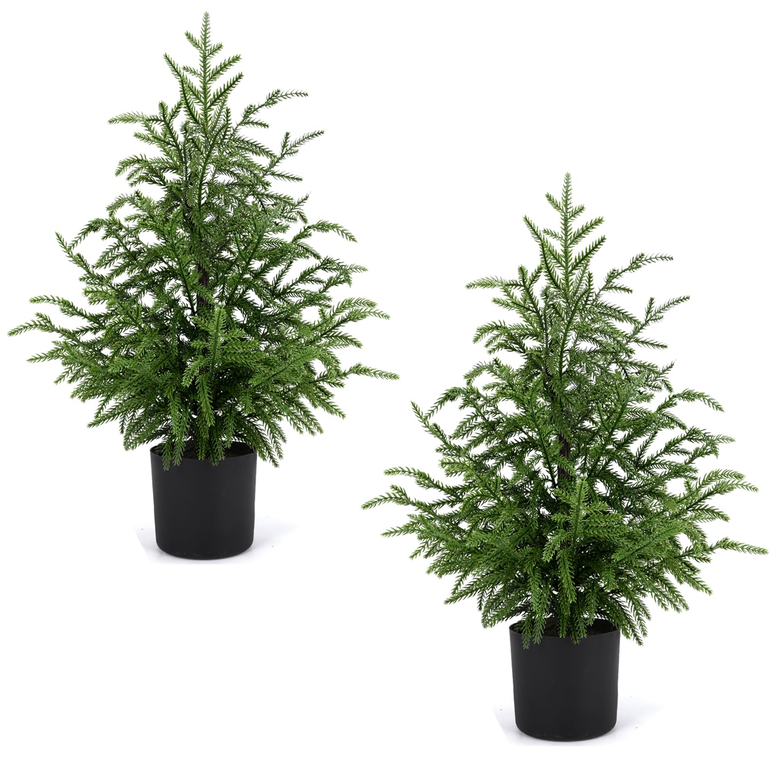 ENVEN 2FT Pre-Lit Norfolk Pine 2-Pack