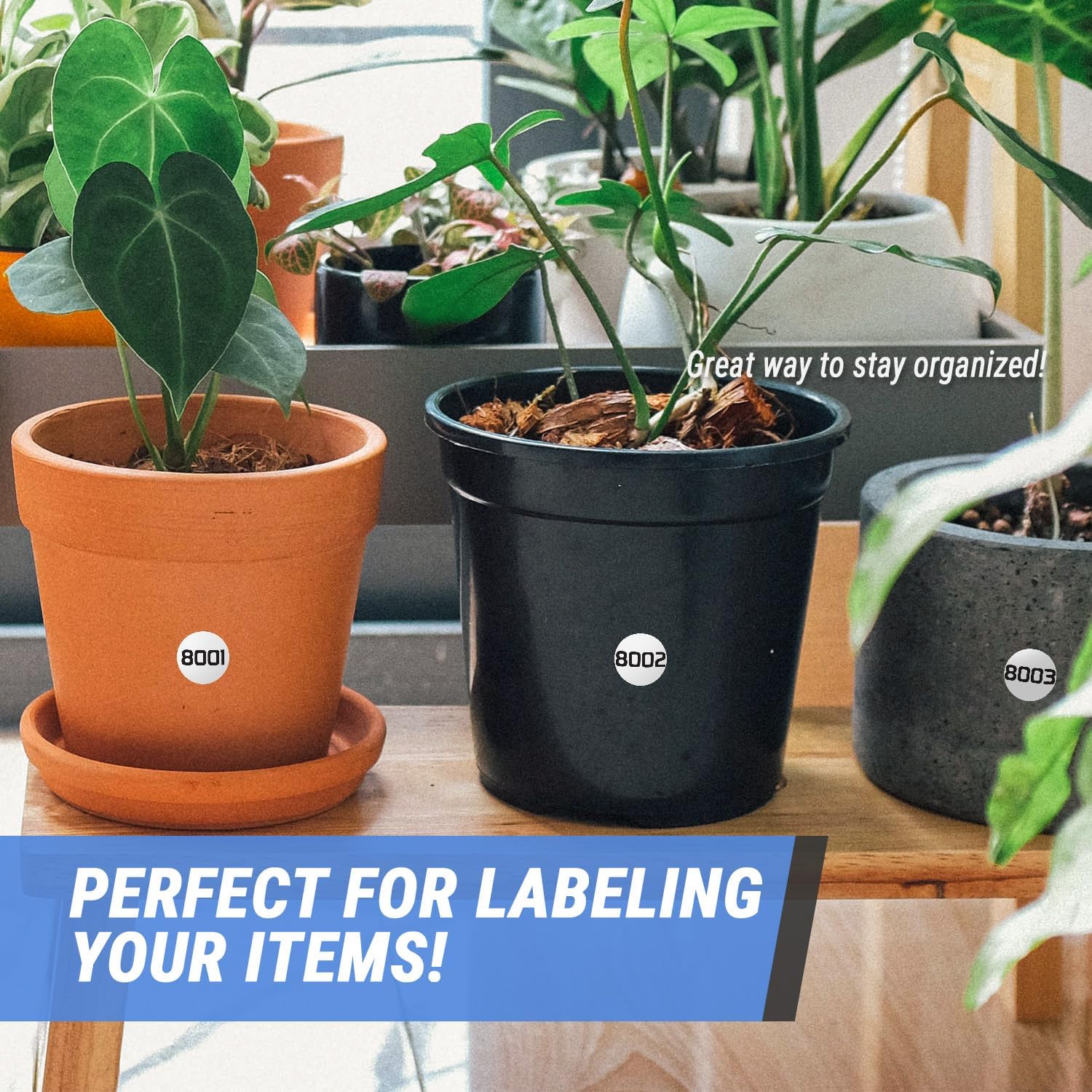 Consecutive Numbers (8001-9000) - 1" Small Round Number Labels Inventory Prenumbered Labels Stickers Durable Vinyl Laminated Sequential Waterproof Numbered Stickers - 1 Roll, 1000 Count