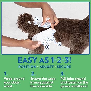 Amazon.com : Out! PetCare Disposable Dog Diapers Male, Puppy