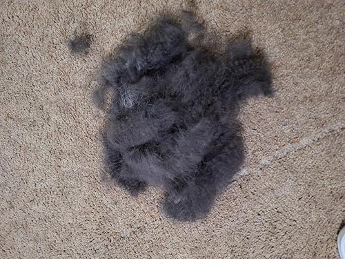 Self-Cleaning Pet Grooming Brush — alternate color or size variant on Amazon