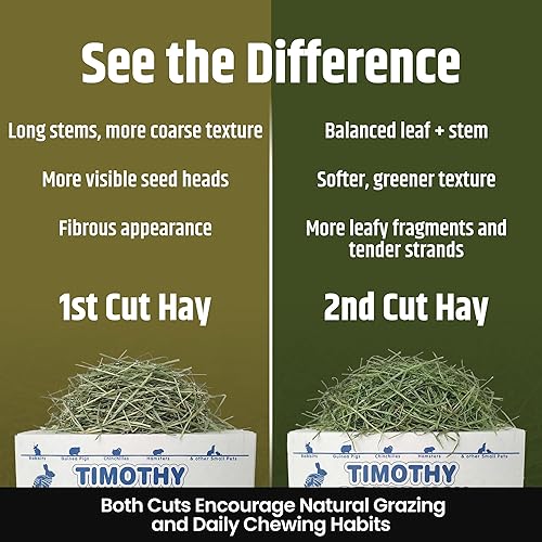 Miniatura 3 de High Desert Heno de hierba Timothy de segundo corte para conejos, cobayas, chinchillas y mascotas pequeñas, heno natural empaquetado a mano de alta