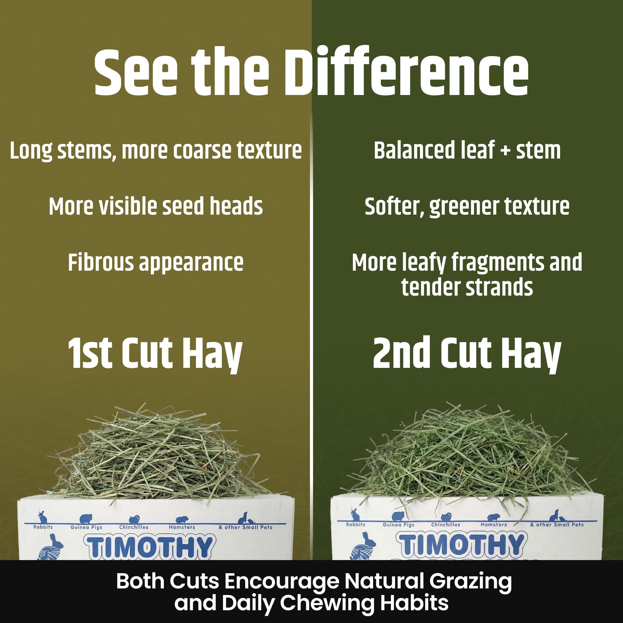 High Desert 1st Cut Timothy Hay for Rabbits, Guinea Pigs, and Small Pets, Premium Grass Hay for Daily Feeding and Digestive Health, Natural Rabbit Food and Guinea Pig Food, Small Pet Supplies, 4 lb - image 3