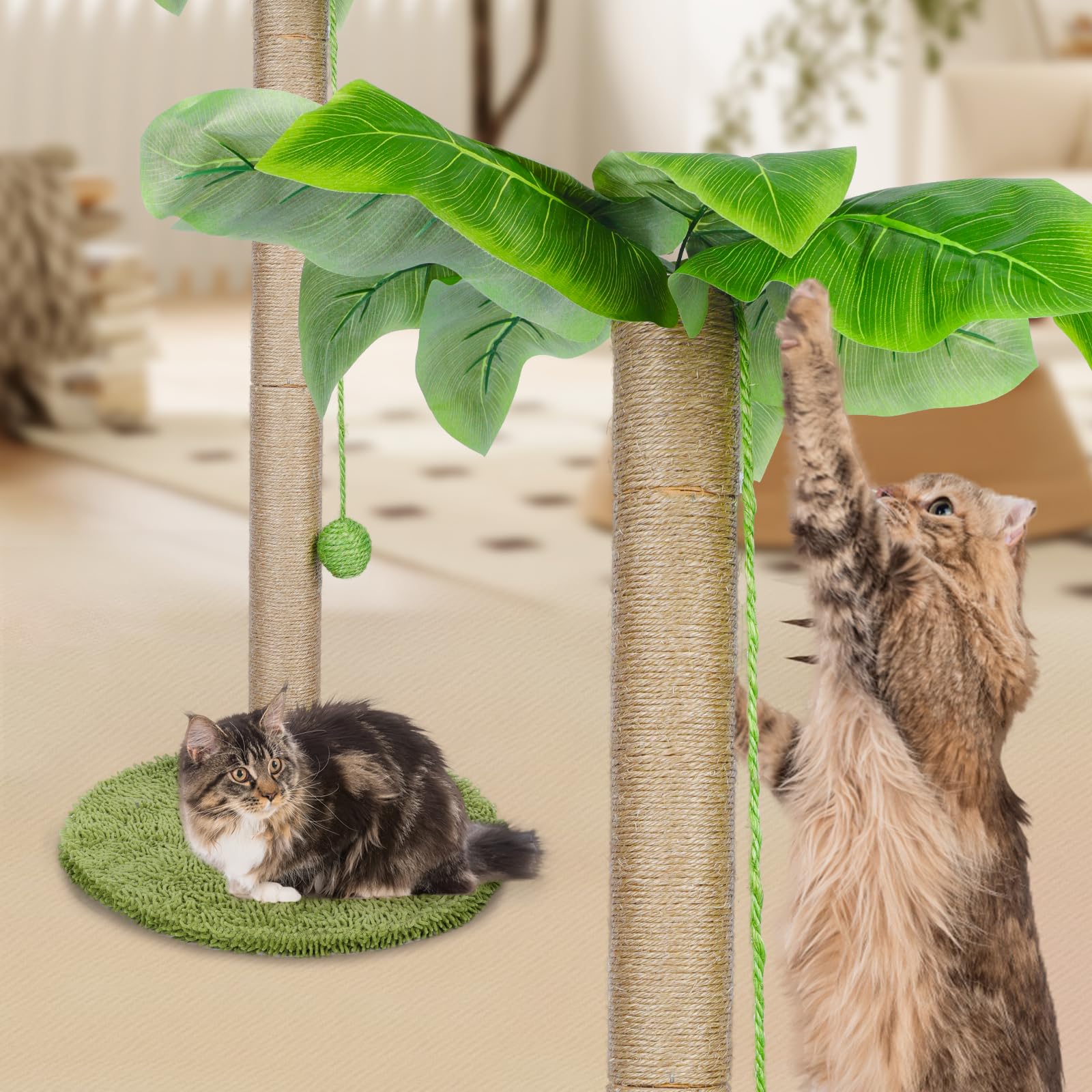 HEVOL Rascador para Gatos de Poste, 85 cm Arbol Rascadors Gato con Cuerda De Sisal Premium, Arbol Rascador de Gato con Diseño de Bola Colgante, Torres para Gatos Interior envía 1 Juguete de Plumas