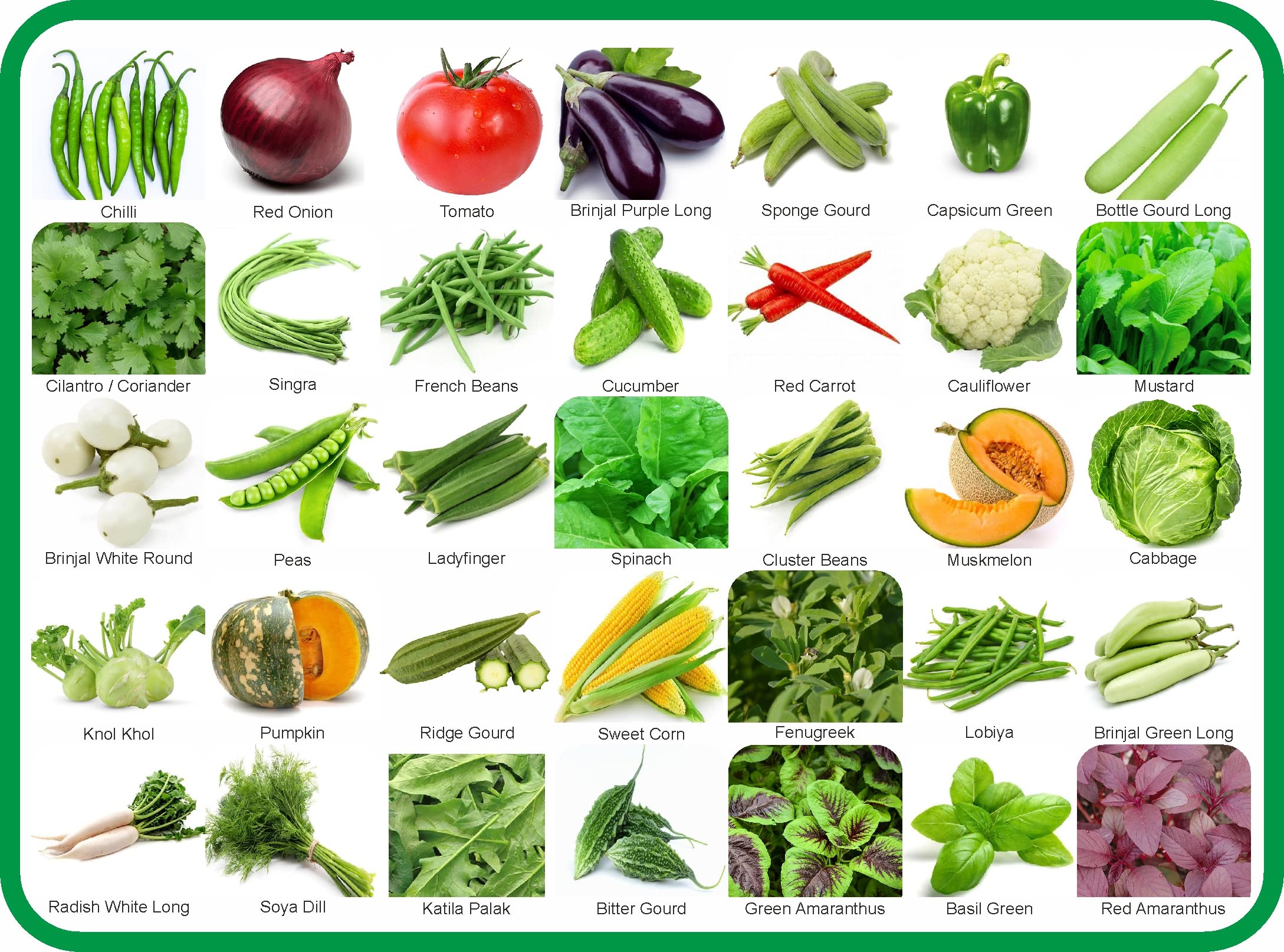 Agnico 35 Variety Of Vegetable Seeds Combo Pack With Instruction Manual. (B0BHDYRP7C) Amazon Price History, Amazon Price Tracker