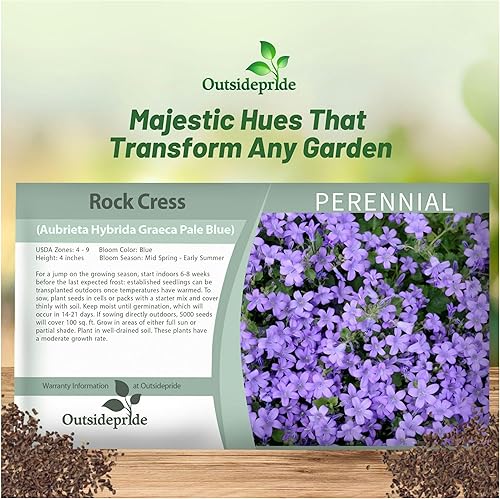 Miniatura 5 de Outsidepride Semillas de berro de roca Aubrieta azul pálido, 5000 unidades, semillas de flores perennes, fáciles de cultivar, de bajo mantenimiento,