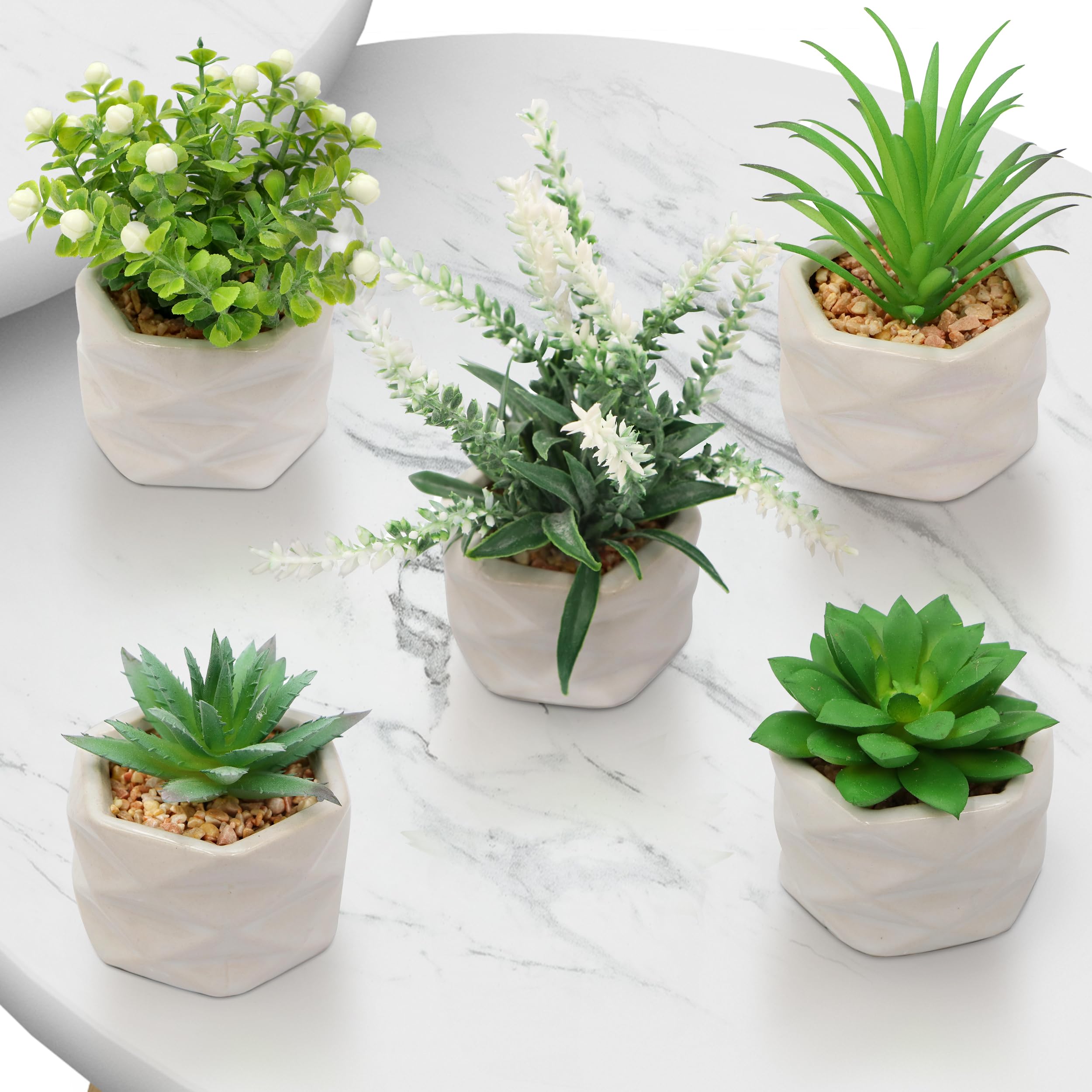 Neobloom Mini Artificial Succulent Plants - Luxury Assorted Small Artificial Plants For Home Decor Indoor With Ceramic Pots Fake Plants Decor For Office Desk Living Room Kitchen Decoration (5)