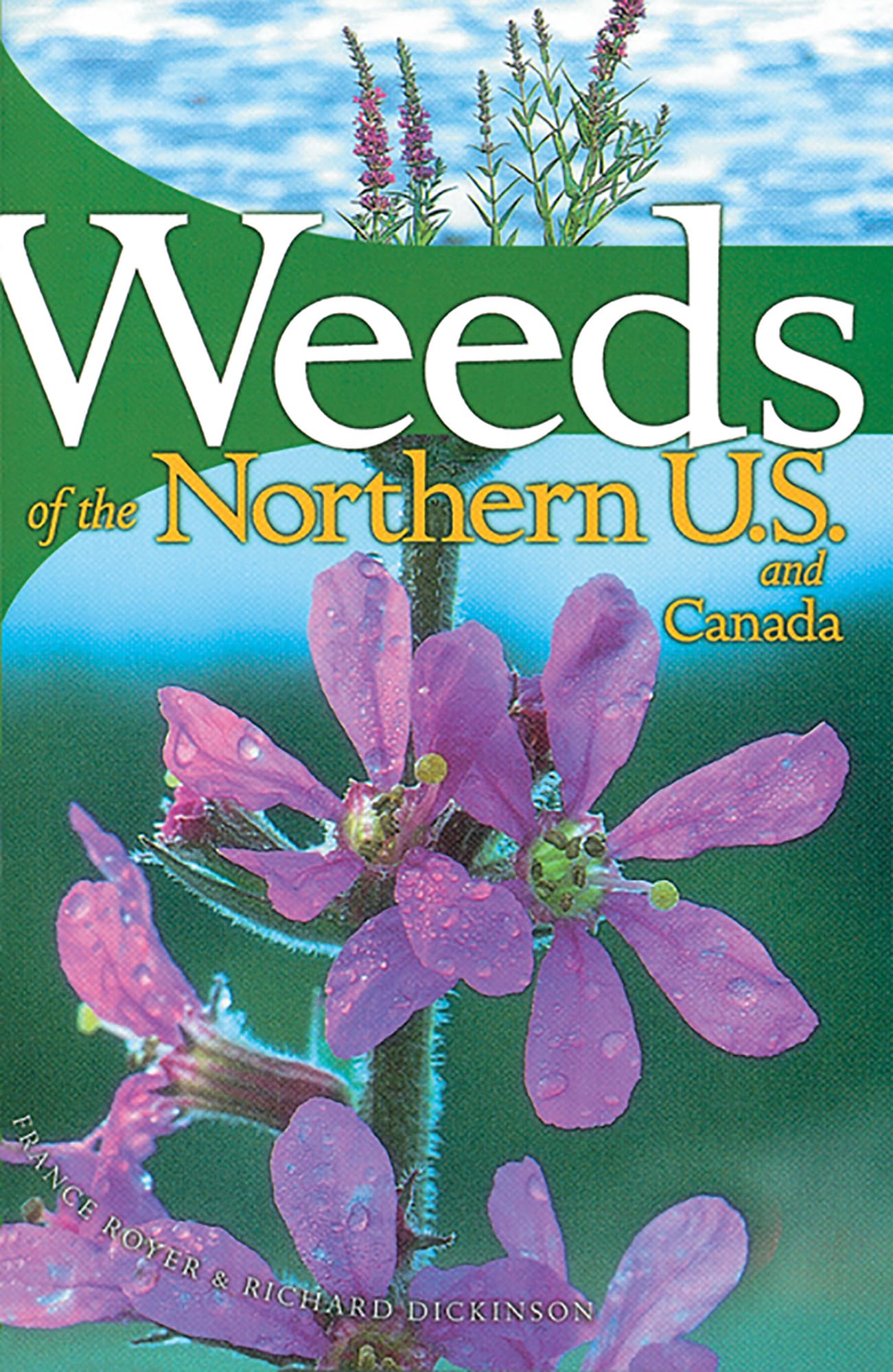 Cover of Weeds of the Northern U.S. and Canada: A Guide for Identification