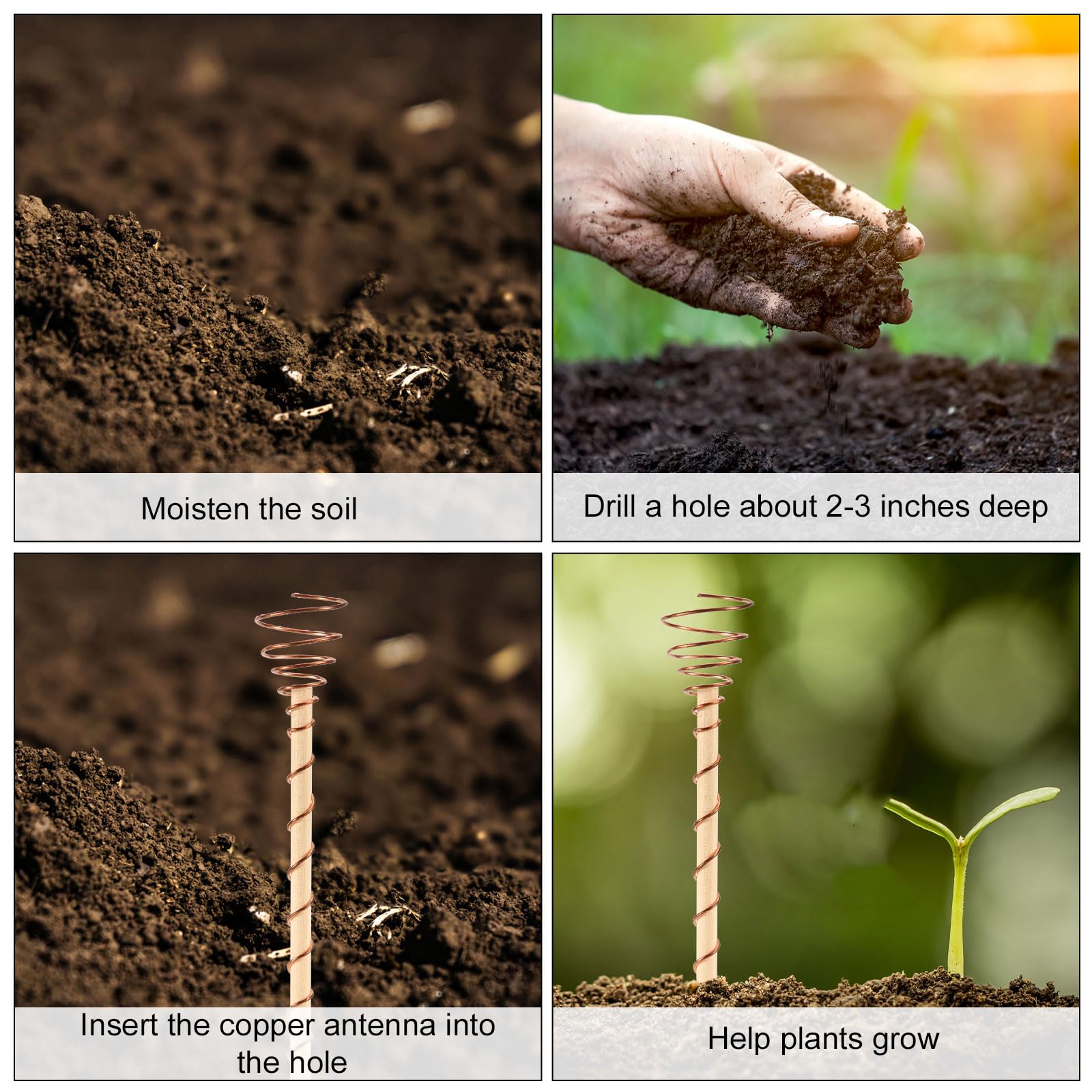 10 Piezas Estacas para Plantas de Electrocultivo, 29cm de Largo Antena de Cobre para Jardinería Antena de Electro Cultivo para Cultivo Interior Exterior Plantas Frutas y Verduras Soporte