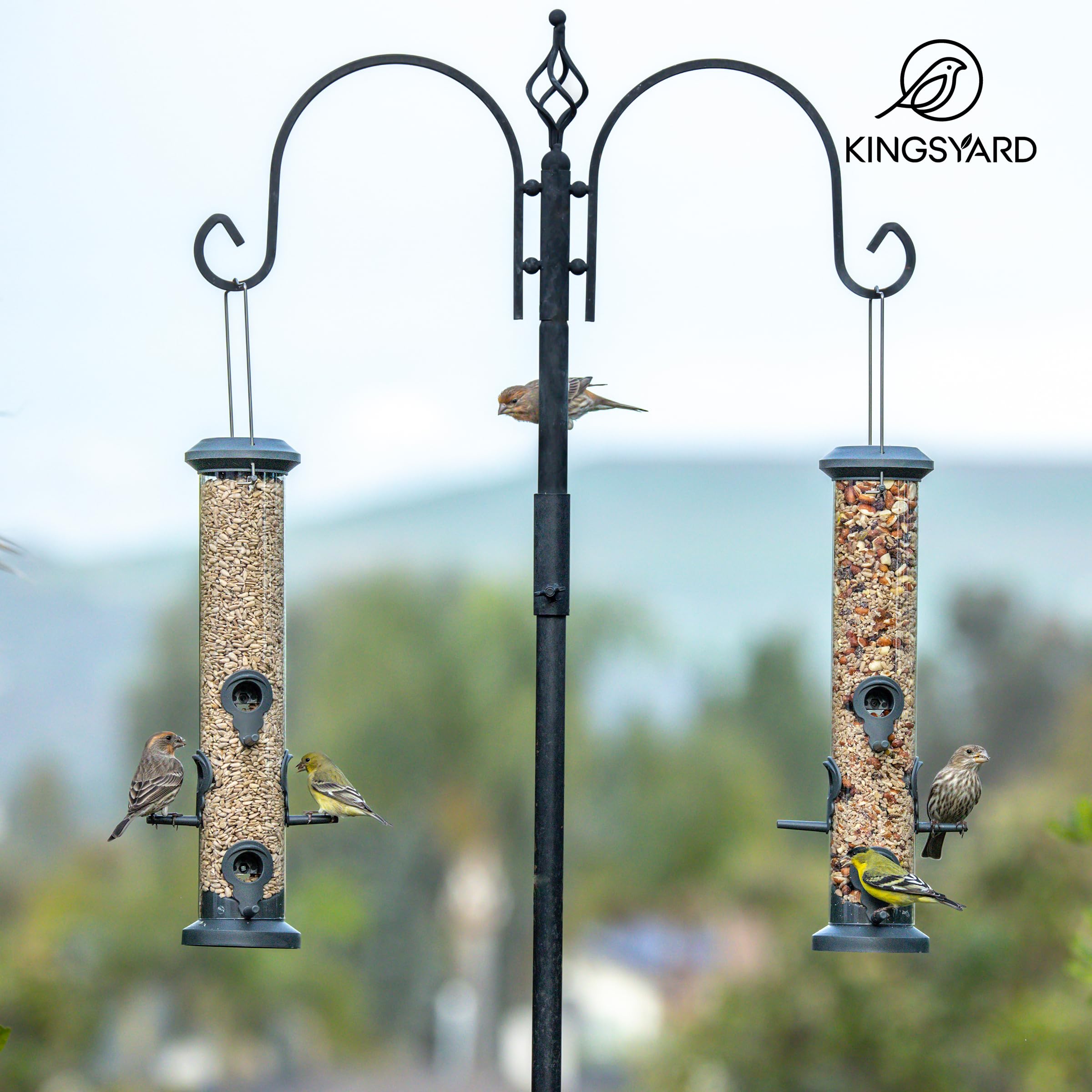 Kingsyard 2X Vogelfutterspender 38cm - mit 6 Anflugstangen, Vogel Futterstation, Wildvogelfutterspender für Sämereien, ganzjährige Fütterung, für Garten/Terrasse/Balkon, Schwarz