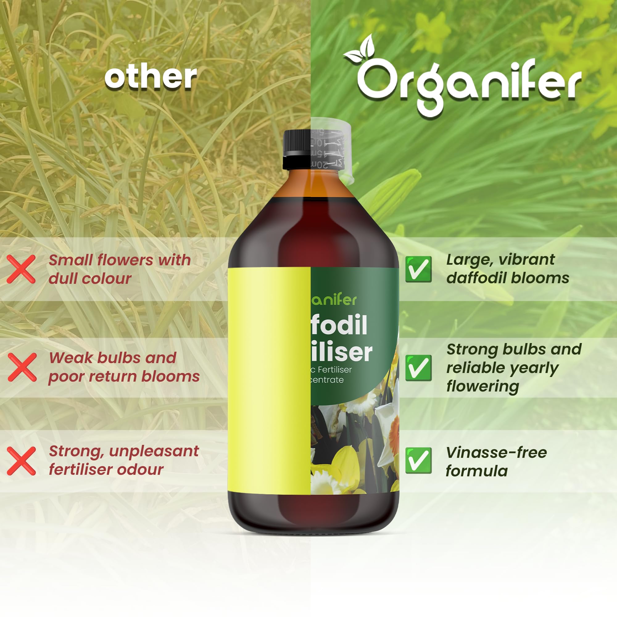Fertilizante Líquido - 5x1L - Para Narciso - NPK 3-4-3 | Flores Largas Y Plantas Fuertes - Organifer