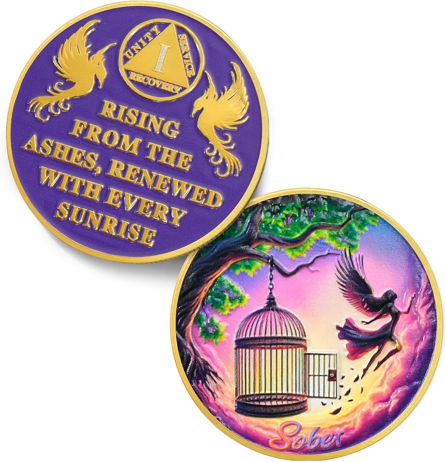 Break Free 1 Year Sobriety Coin - Rising from The Ashes Phoenix 1 Year AA Coins - Recovery Addiction Fairy NA AA Chips and Medallions - 1-10 Prime Living Clean Alcoholics Anonymous Gifts for Men Women