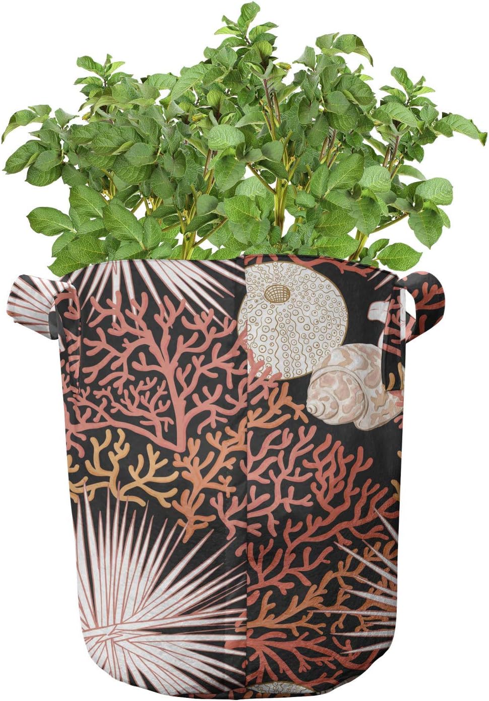 Ambesonne Nautical Grow Bags 5-Pack, Colorful Marine Corals, Heavyduty Fabric Pots with Handles for Plants, Multicolor