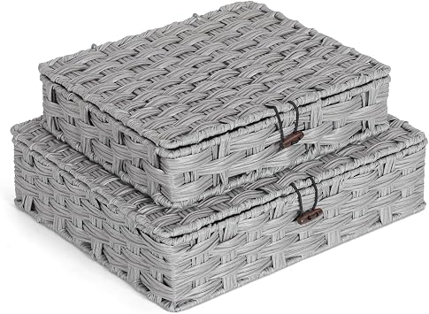 Plastic Wicker Storage Baskets with Lids, 2-Pack Woven Rattan Organizer Bins with Locking Button, Decorative Flat Storage Boxes, 11"x9.25"x2.75" & 13"x11.2"x3.5", Gray
