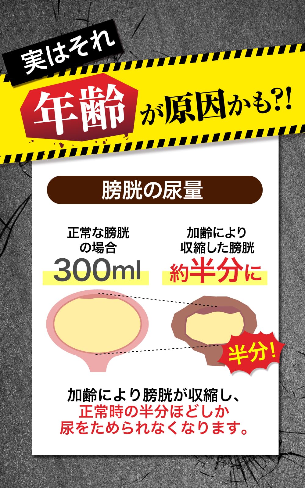 Amazon | 【第2類医薬品】トメラックEX 180錠入 | さくらの森 | 漢方・生薬