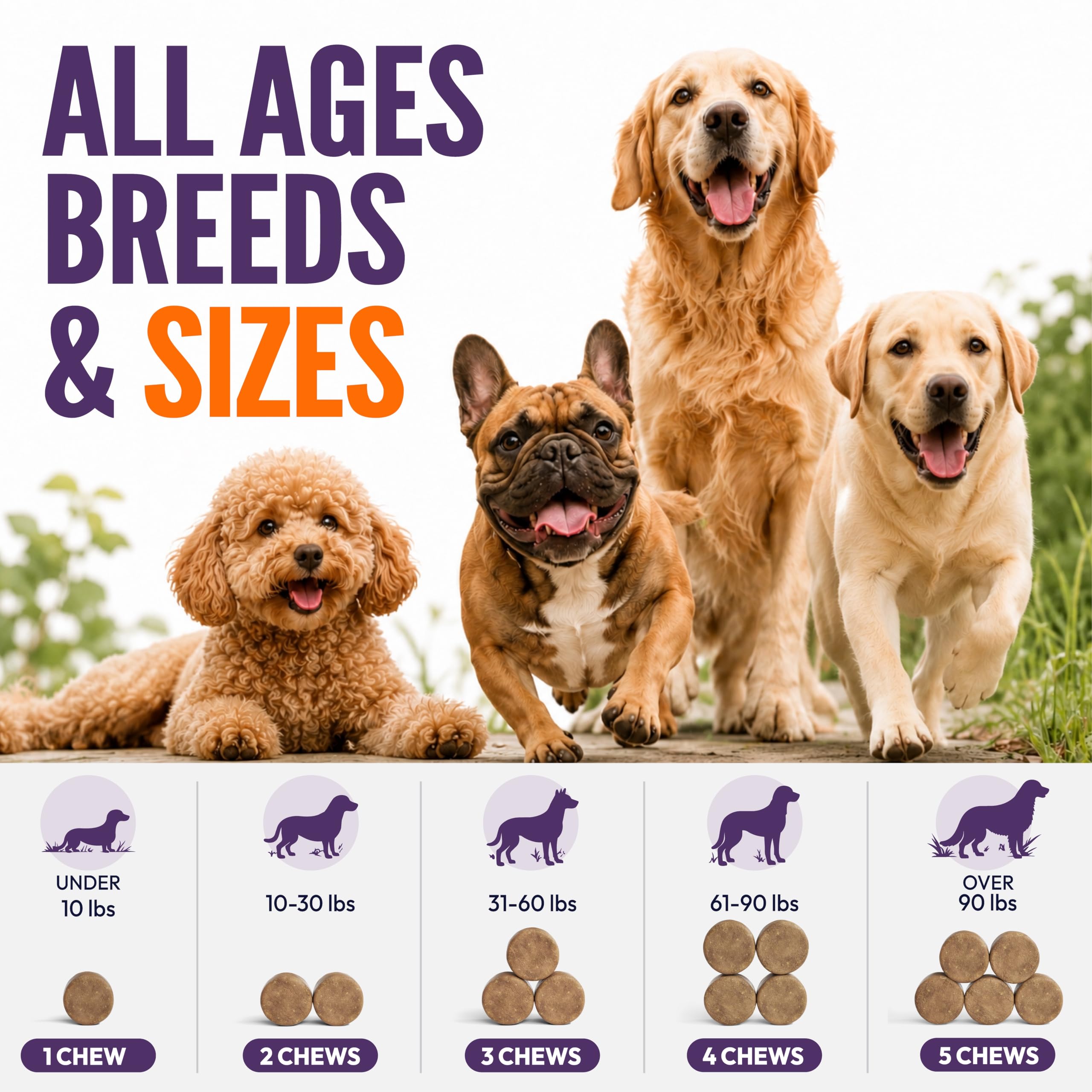25-in-1 Dog Vitamins and Supplements - 250 Chews Dog Multivitamin Chewable — Amazon image 8