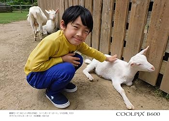 Amazon | Nikon デジタルカメラ COOLPIX B600 RD 光学60倍 軽量