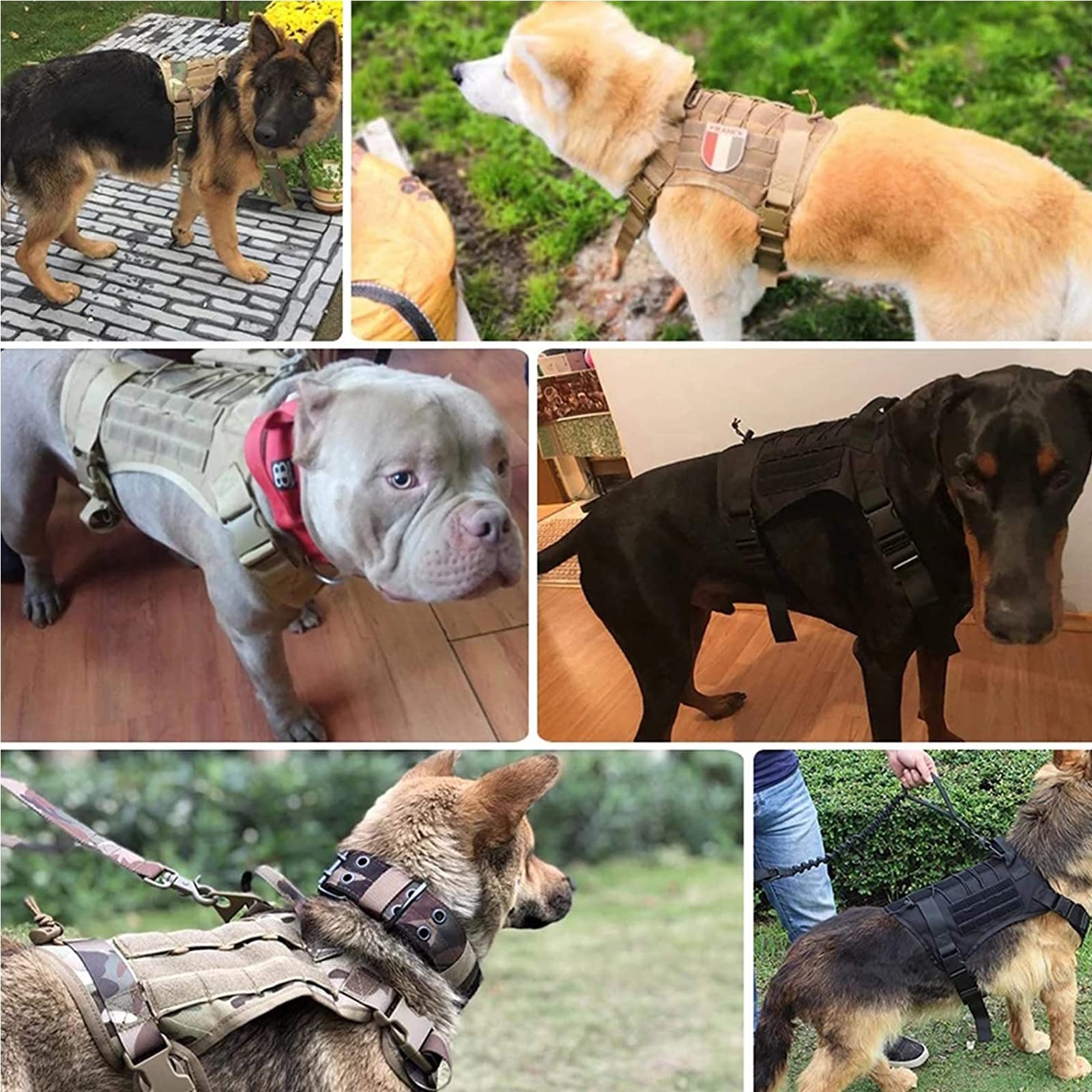 Pettorina Militare Tattica + Guinzaglio Per Cane, Pettorina Tattica Media E Grande Per Cani,Gilet Militare Per Cani Con Maniglie,Per Addestramento Passeggiate E Cani Lavoro,Cp,XL