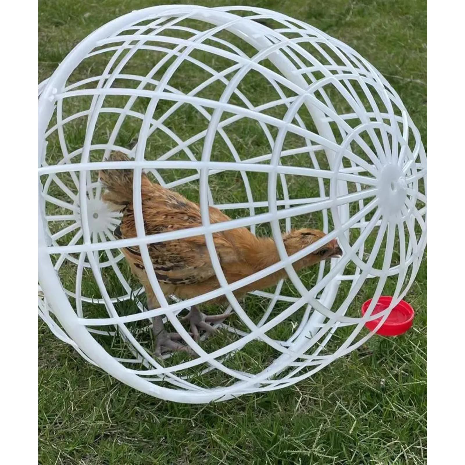 Gallinero, Gallinero De Plástico Al Aire Libre Conejera, Gallinero Circular De Plástico Rodante, Gallinero Esférico para Conejos, Gallinero para Caminar(Quantity 1)