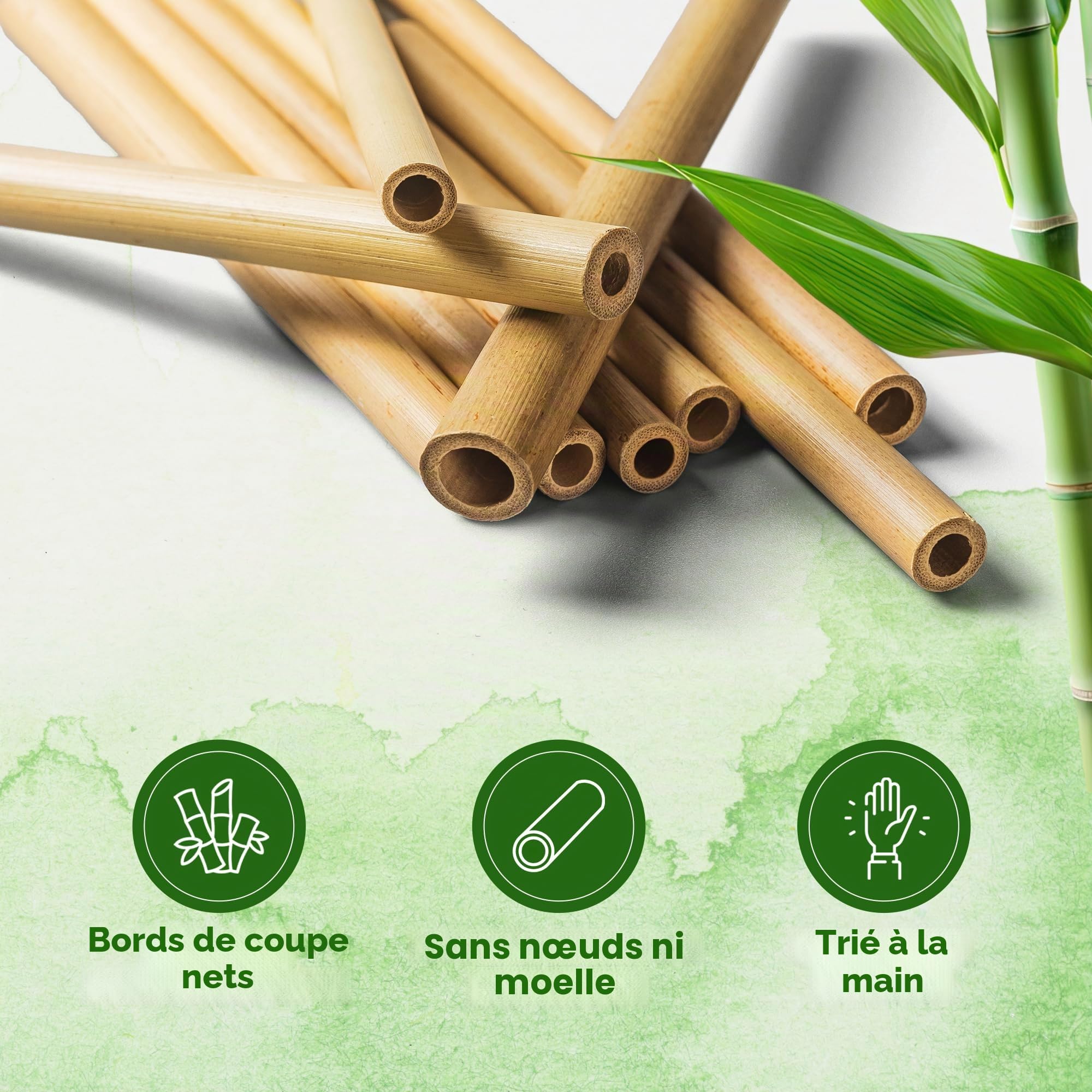 Lot de 100 tubes en bambou pour hôtel à insectes - 15 cm de long - Manchons de nidification en bambou pour hôtel d'abeilles sauvages - Matériau de remplissage pour hôtel à abeilles sauvages -